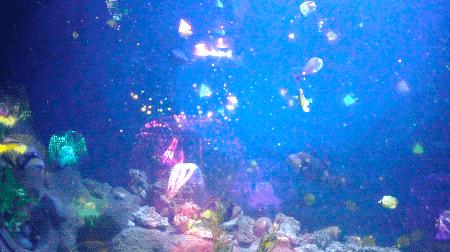 斥资3亿打造的深坑酒店,20亿打造的深坑酒店在何处