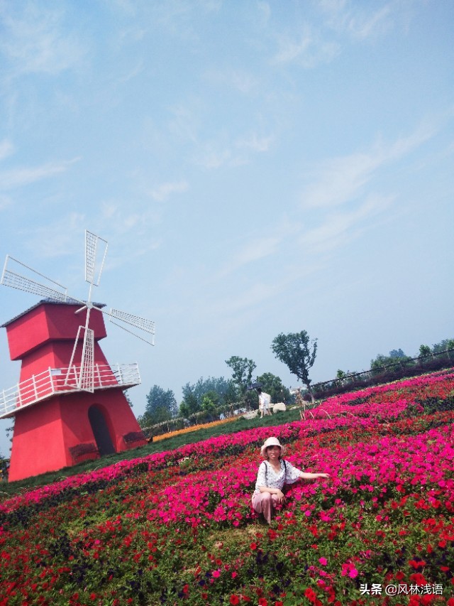 宜昌枝江同心花海步步升景点,枝江同心花海附近好玩的地方