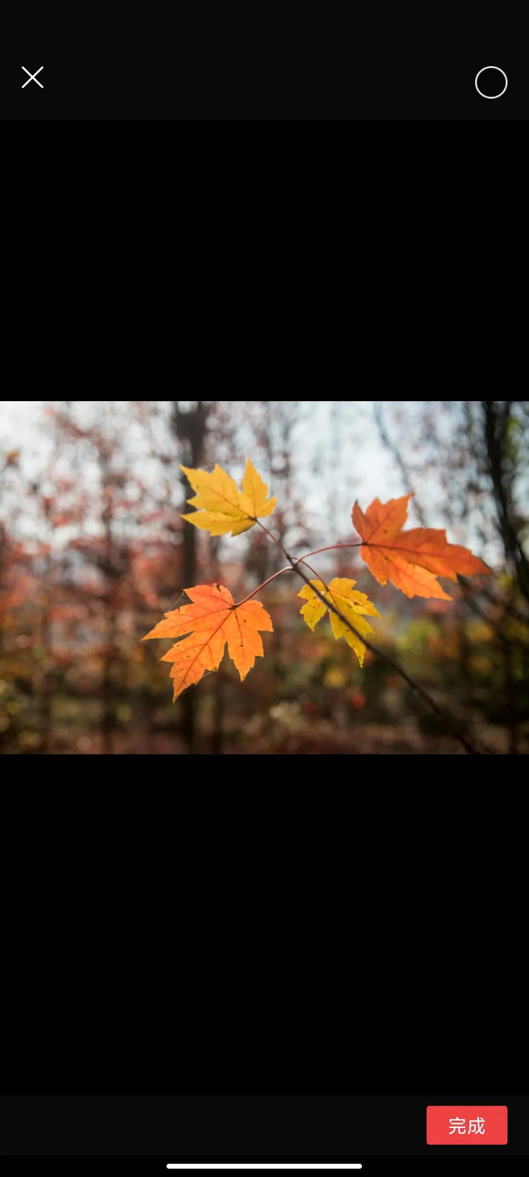 千图网如何快速找到想要的素材,怎么找免费的图片和视频素材