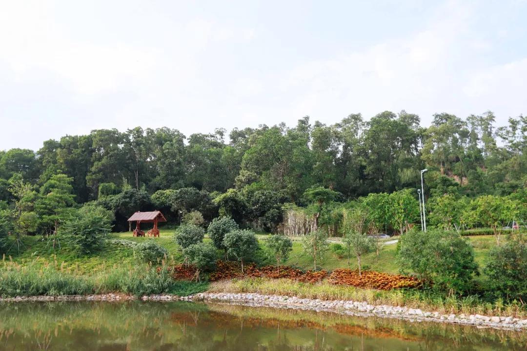 簕竹杜鹃谷公园,好看的杜鹃谷公园