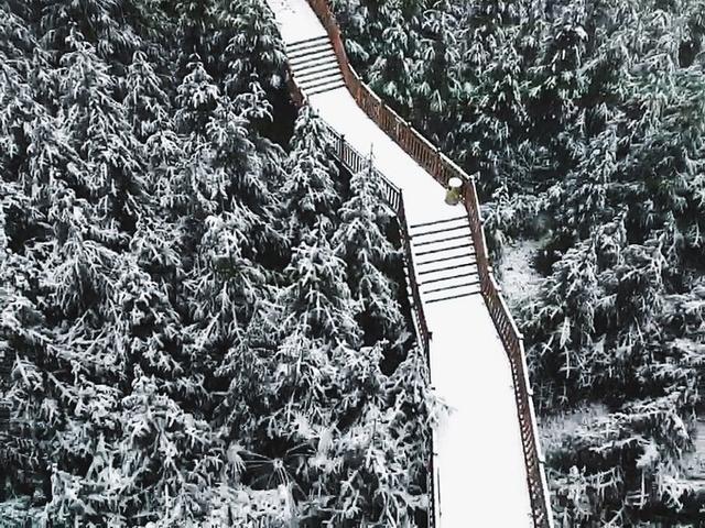 人间仙境峨眉山七里坪,峨眉山七里坪最好的地方