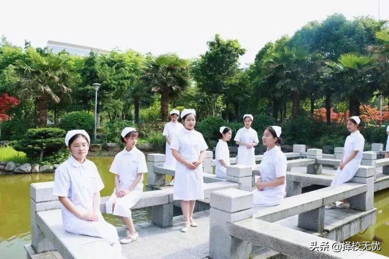 志愿填报升学无忧,宁波卫生职业技术学院单招