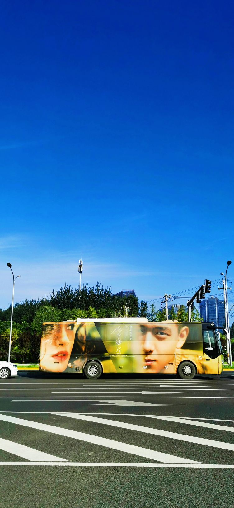 鍖椾含绉樺,鍖椾含绉樺涔嬫梾