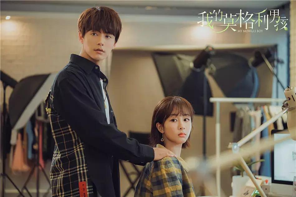 宠物情人日剧甜剧,宠物情人电视剧