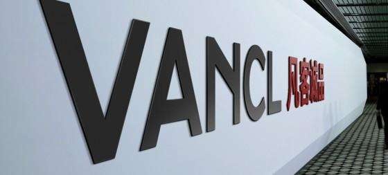 又一电商巨头“猝死”，雷军痛心疾首：这是我人生最倒霉的投资