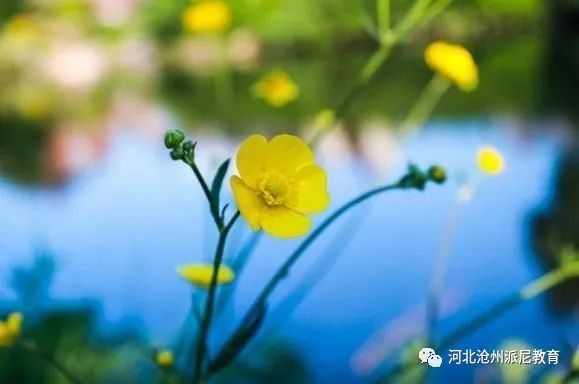 清晨与你相伴,清晨与时光