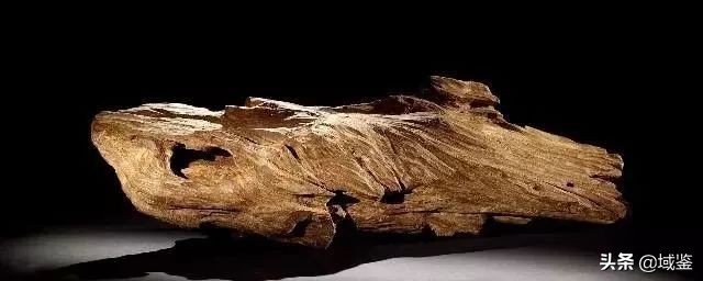 比黄金贵的木头沉香,沉香木比黄金贵