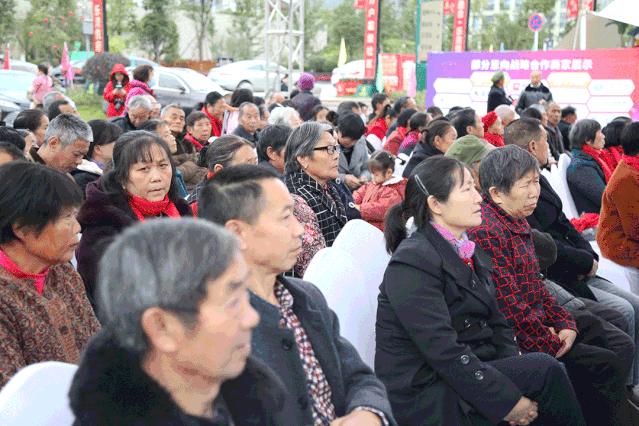 巴中兴文经开区东区,巴中兴文经开区产业园