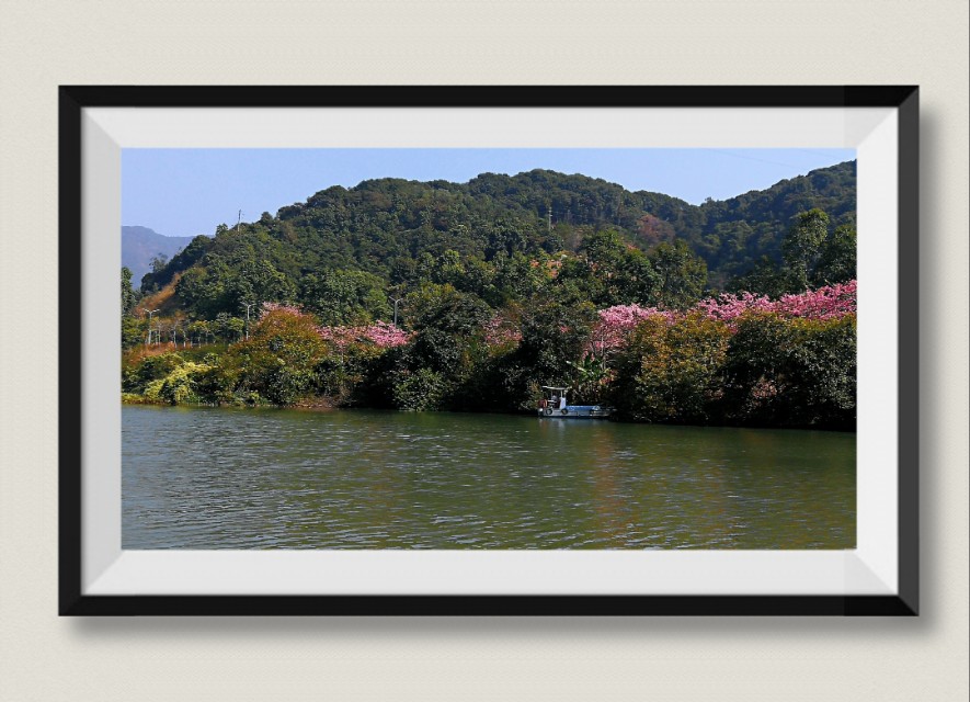 山清水净鸟语花香,广州从化山水田园旅游