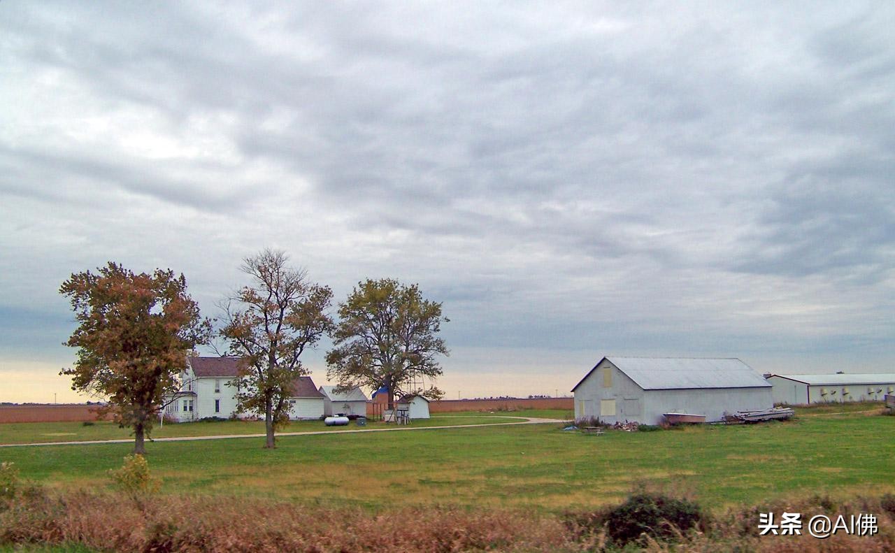 美国农田最多的州,美国哪个州的农场土地肥沃