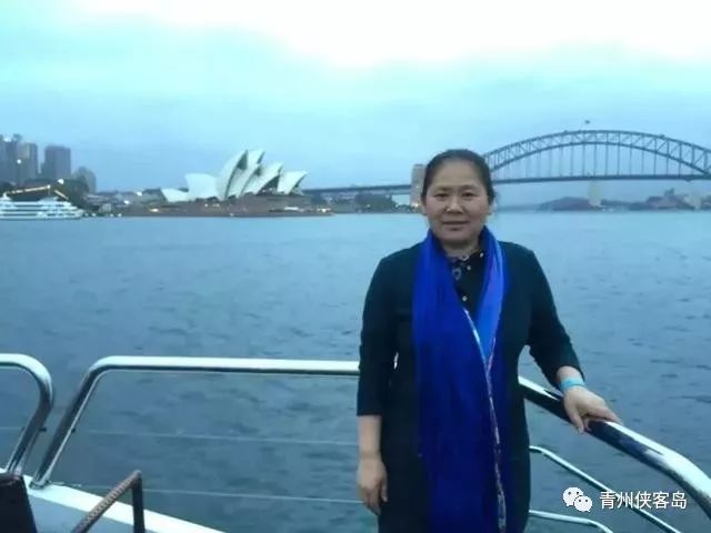 青州甄日菊简介,青州甄日菊