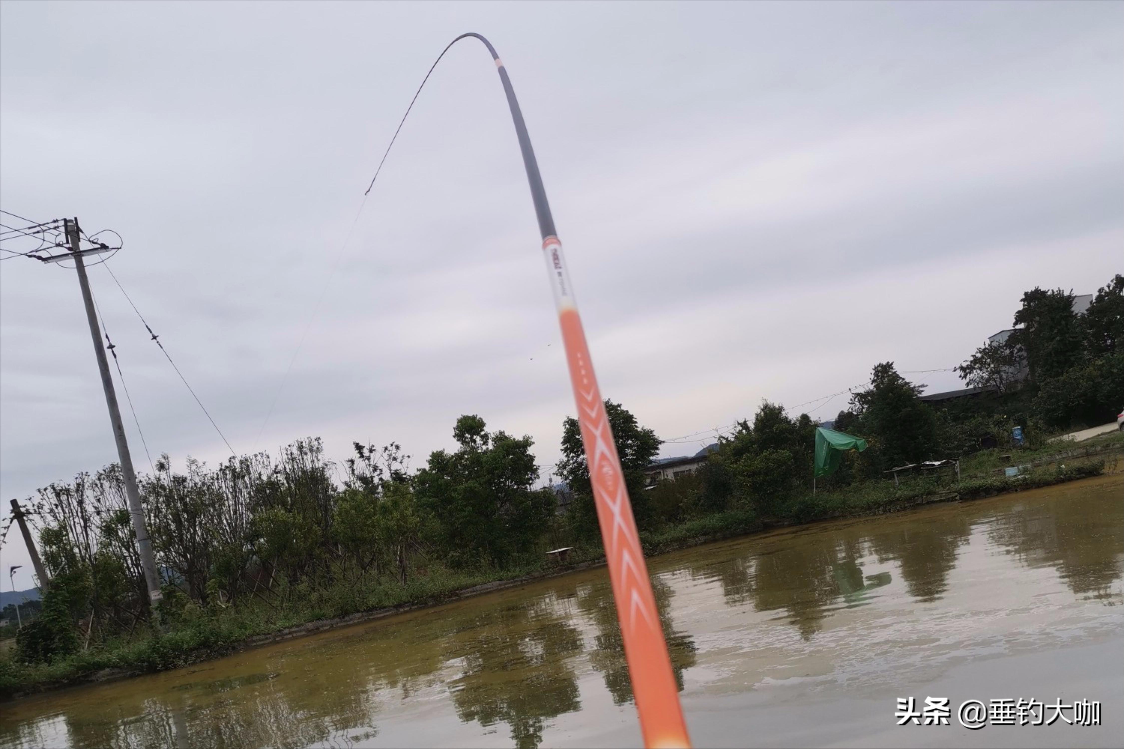 推荐几款性价比高的巨物竿,大物竿哪一款性价比最高