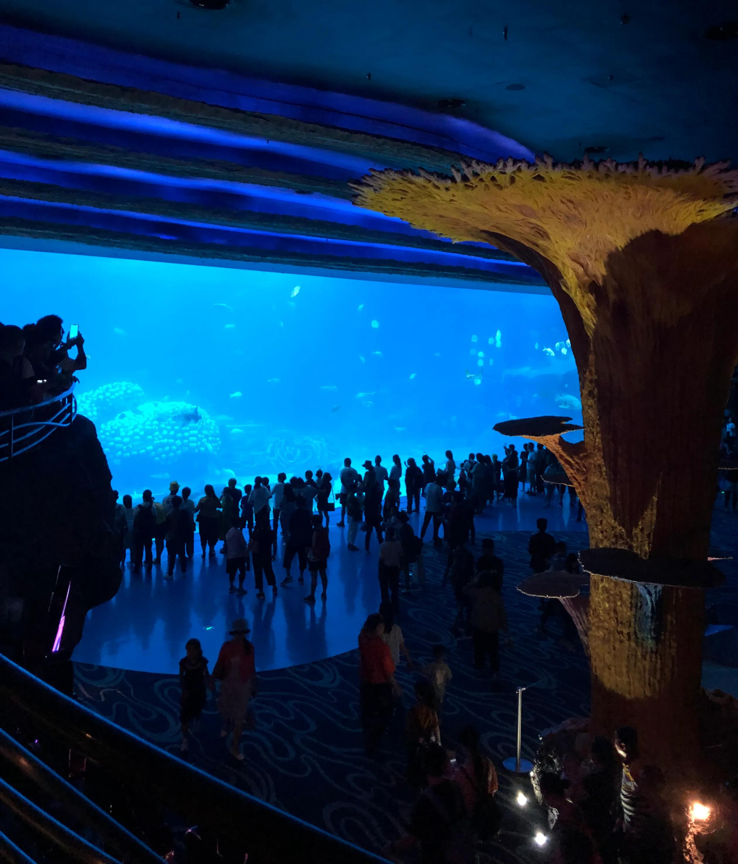 十大最值得去的动物园,中国有没有最好玩的动物园