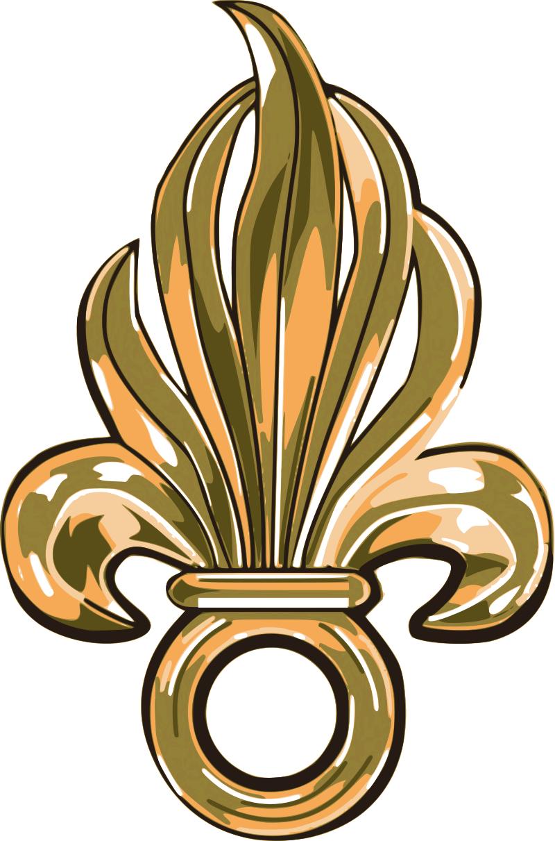 各国军队标识葡萄牙陆军,各国国旗葡萄牙