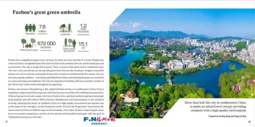 鼓楼网格,临汾鼓楼南大街与南外环十字路口