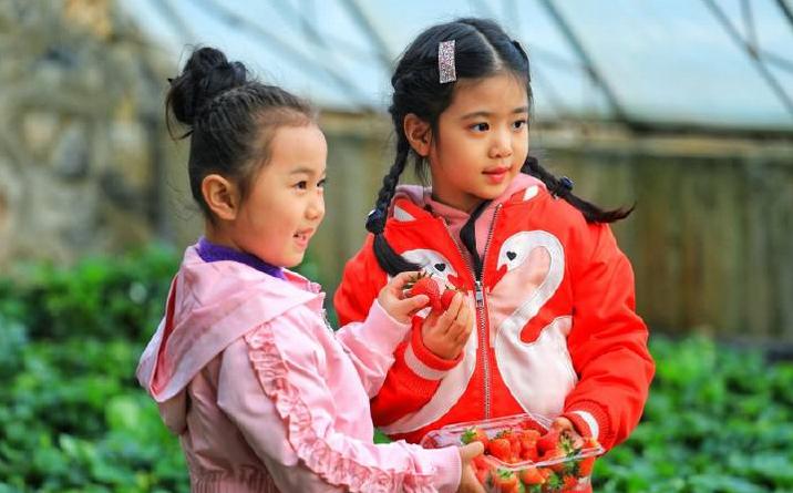 避暑亲子旅游推荐5天游,暑期草原亲子游攻略