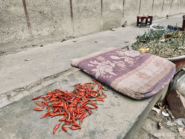 新安老家怀旧行，洛玻砂岩矿成为历史，洛阳水泥厂辉煌不再