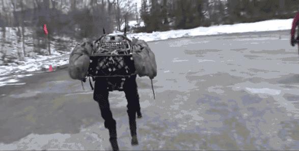 养狗嘛?53万、世界首富同款