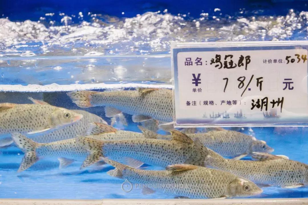 湖州：一座太湖南边的宝藏小城，春笋湖鲜河鱼，嘴巴好忙