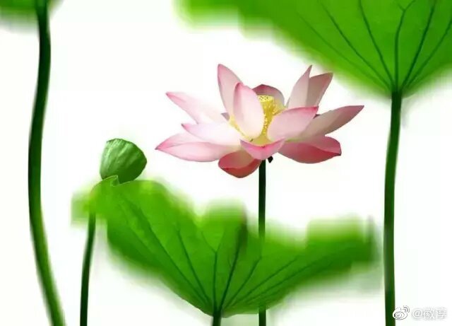 公司向股东借款最新政策,企业向股东借款利息扣除标准