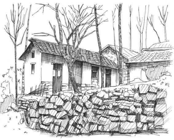 钢笔画零基础教程人物速写,零基础学钢笔画入门教程