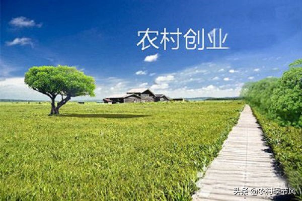 4种常见的农村创业项目诈骗,您必须了解,用这5招轻松应对!