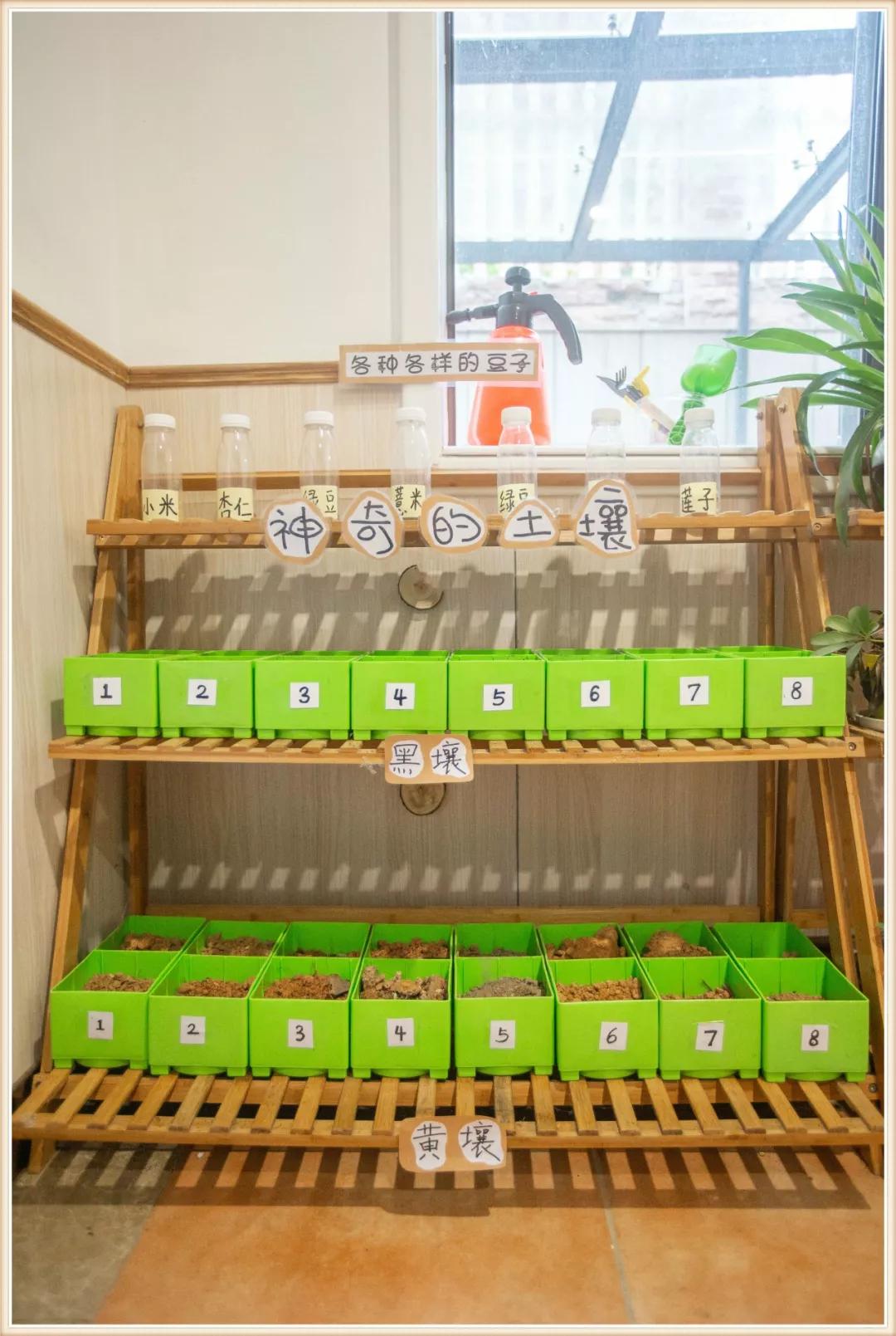 幼儿园大班地球小卫士环境创设,大班神奇的大自然环境创设