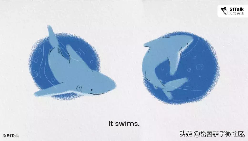 英语绘本howdoyougotoschool,英语绘本故事move