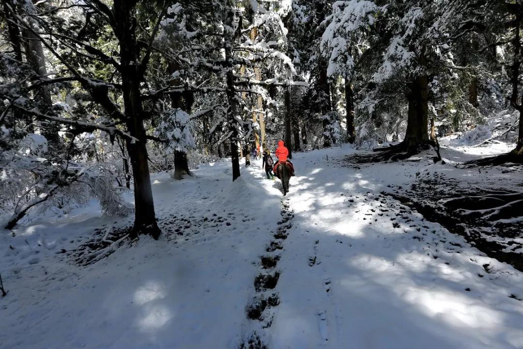 春节游玩打卡攻略,新年旅游攻略全国