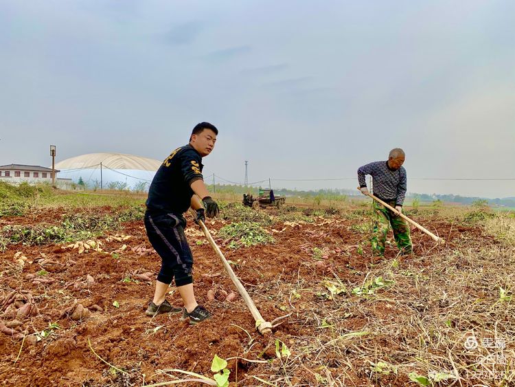 洛阳市宜阳凤凰岭射箭,宜阳县凤凰岭体育基地