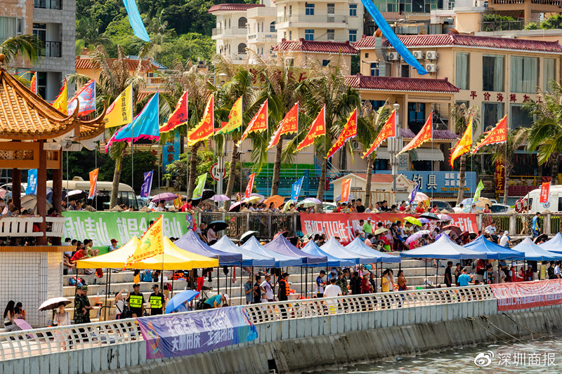 南澳龙舟赛 (深圳南澳月亮湾龙舟赛怎么去)