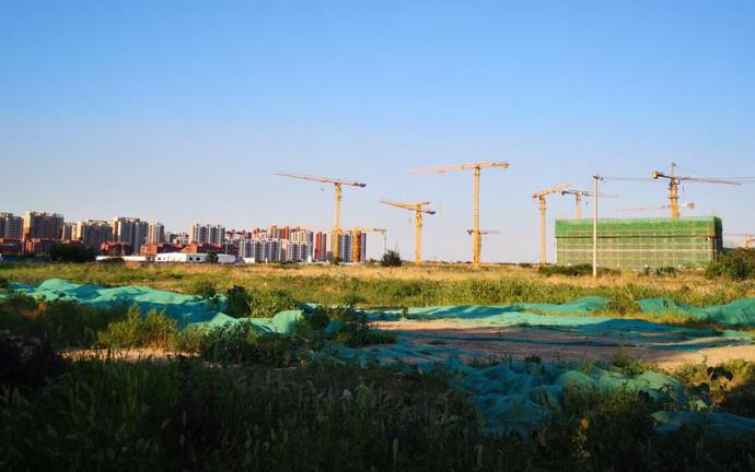 金茂路劲最新动态,金茂路劲