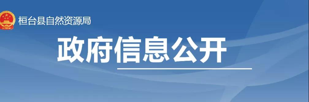 桓台红莲湖用地规划调整,重磅南部新城地王规划出炉