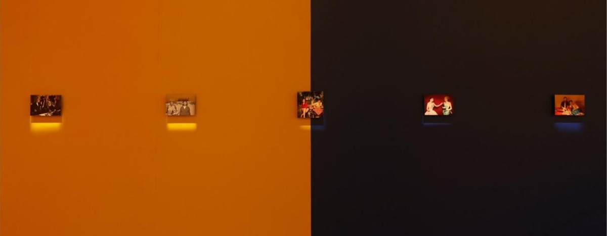 鎽勫奖鏂版墜闀滃ご鎺ㄨ崘浣宠兘,浣宠兘rf闀滃ご瑙嗛鏍风墖