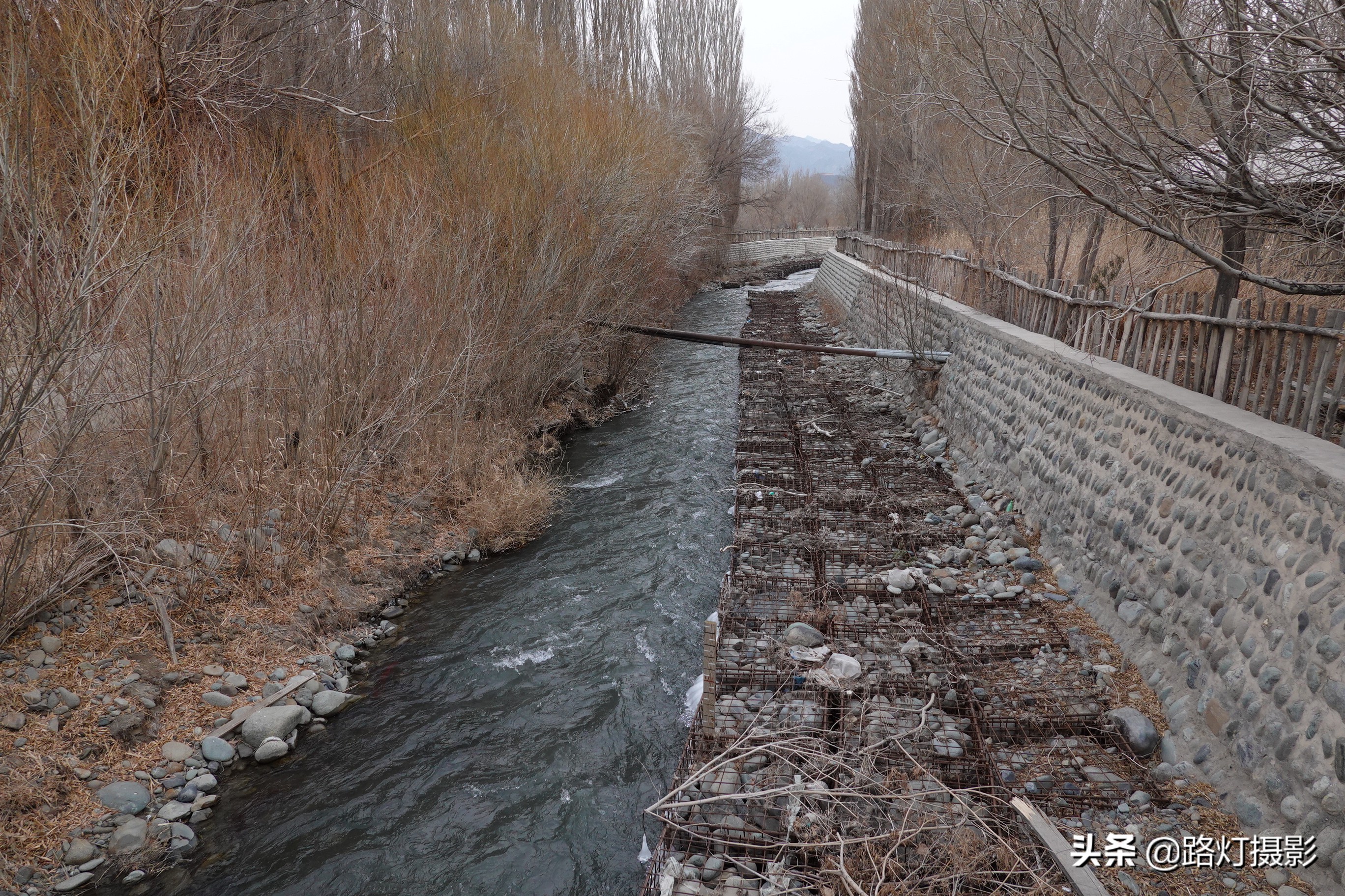 王洛宾写的达坂城姑娘美如画,王洛宾去过伊宁吗