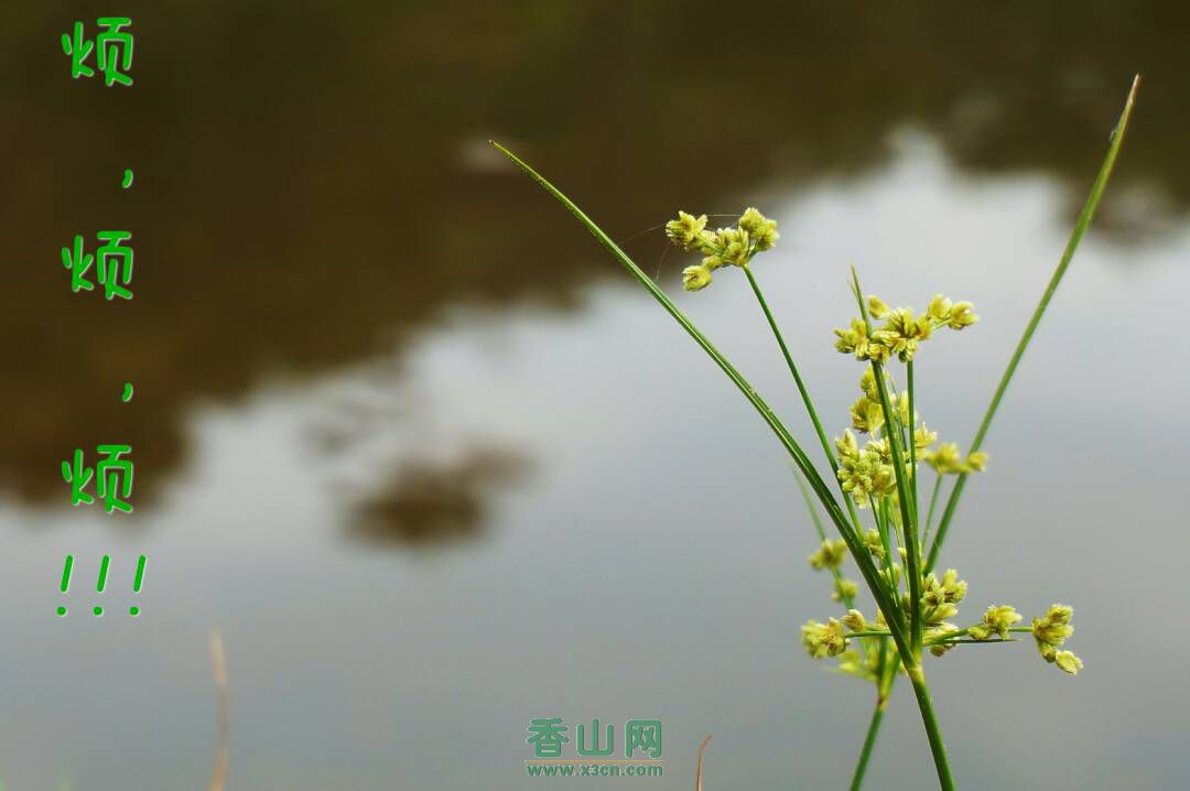 跌跌撞撞的青春是什么样的,告别跌跌撞撞的青春