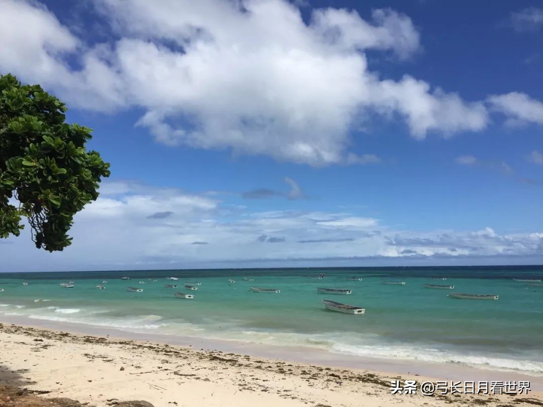 还没走完非洲,我就好羡慕那些旅行代购的