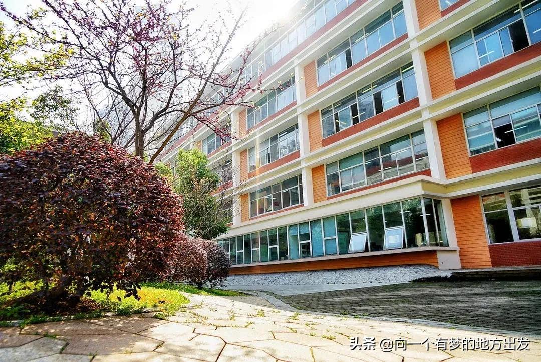 园区星湾学校中考情况,星河明珠湾学校中考成绩