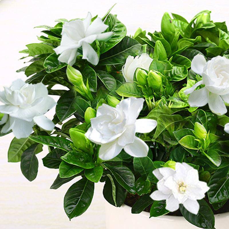 武汉恒发科技有限公司怎么样,武汉恒发科技有限公司简介