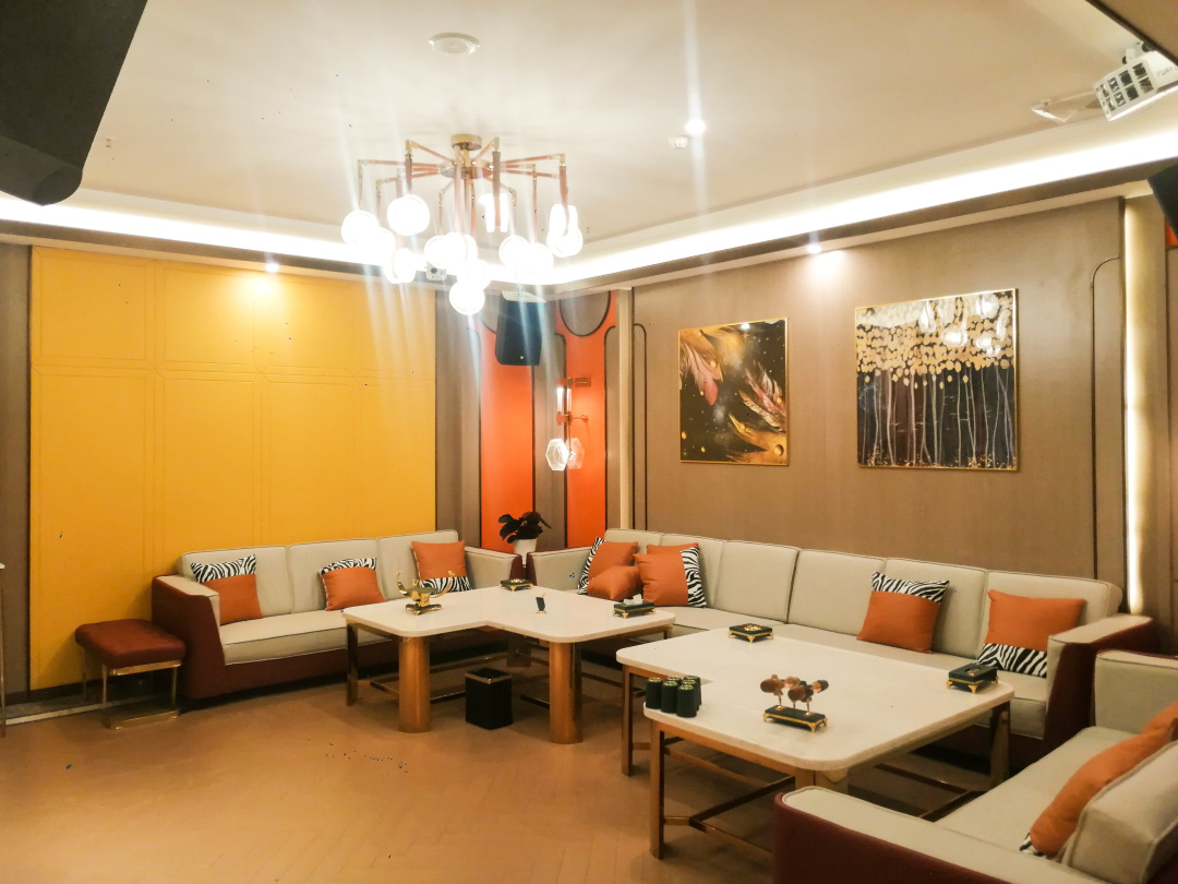 唐龙太极音响运动会,唐龙太极最高端娱乐音响