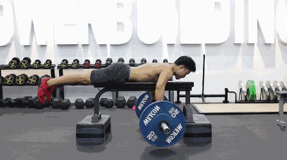 背部训练健身体式动作图解,健身背部训练背背佳