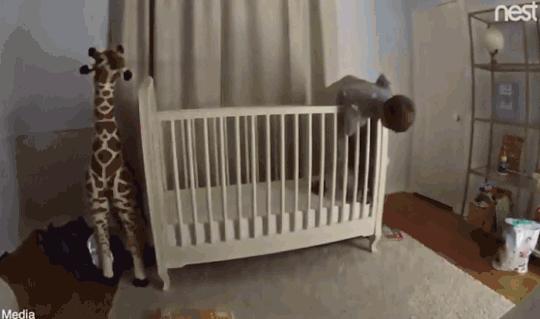 8个月的宝宝不会爬智商有问题吗,不会爬就对智力有影响吗