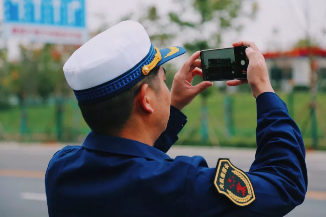 在江夏，我遇见了青松