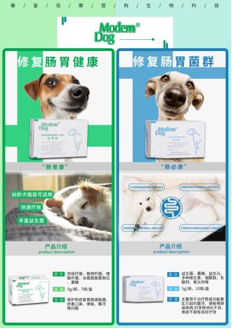 犬猫胃肠道有什么症状,猫犬肠胃有问题怎么办