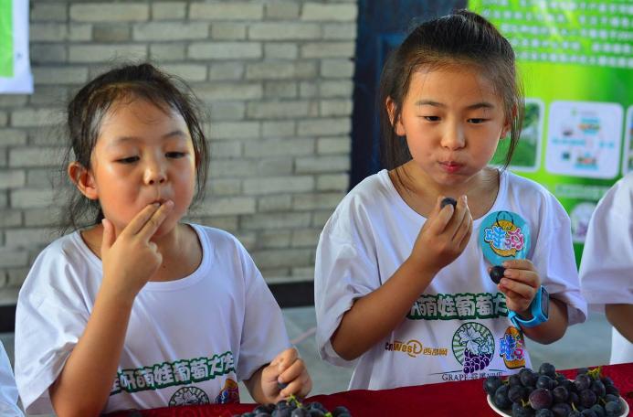 三岁小孩喜欢打人怎么正确教育,三岁孩子爱打人怎么办