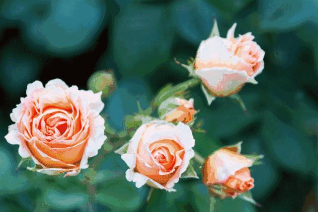 朋友相遇要珍惜愿我们的友谊永久,友谊天长地久且行且珍惜