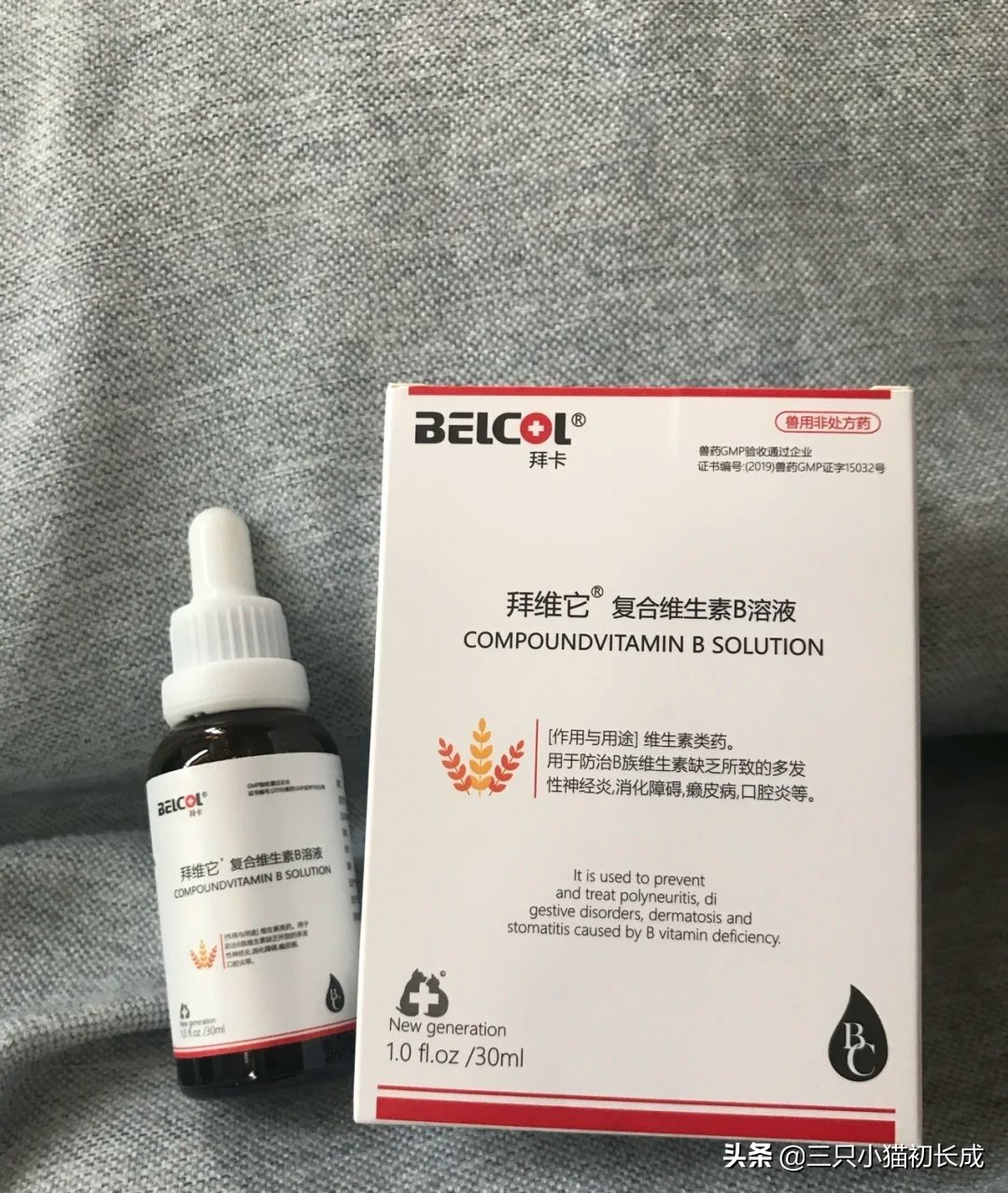 猫癣不治疗特别吓人,猫癣可怕不