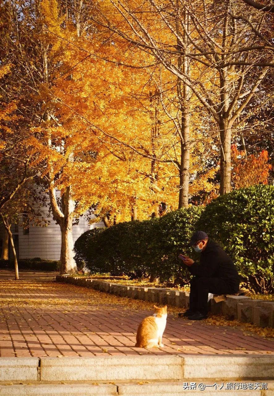 大连最浪漫的十个地方,大连浪漫景色