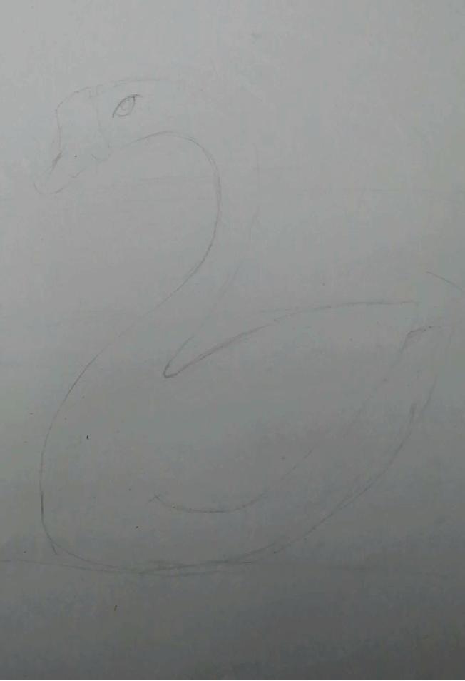 大白鹅彩铅儿童画,水粉大白鹅的画法