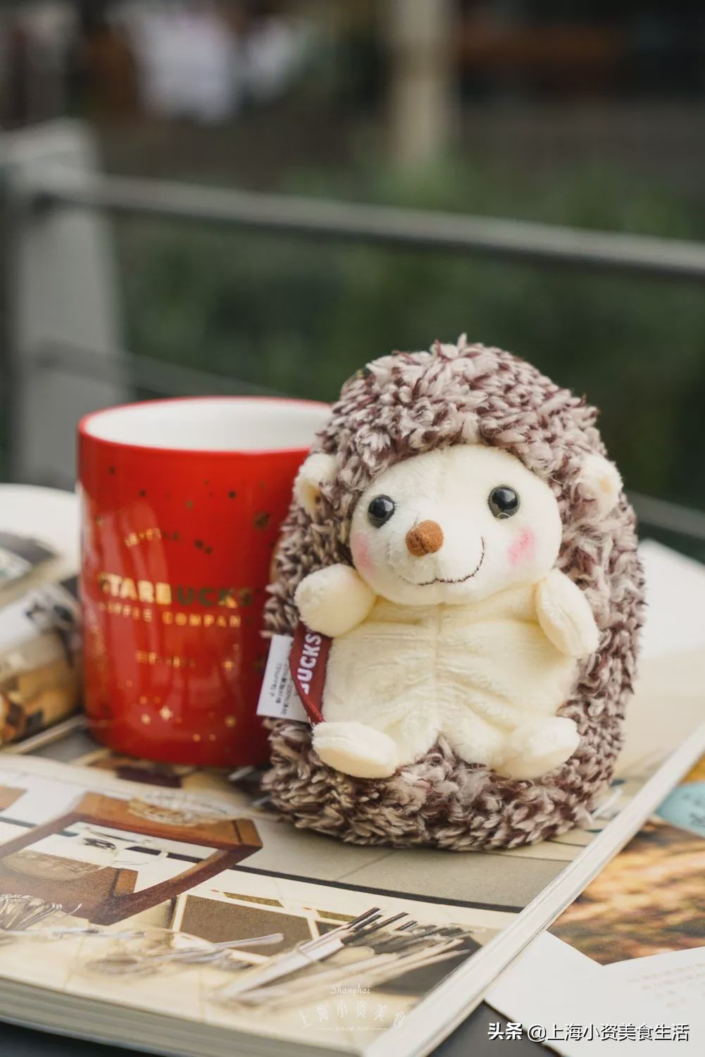 星巴克刺猬冷萃保温杯,星巴克保温杯小刺猬